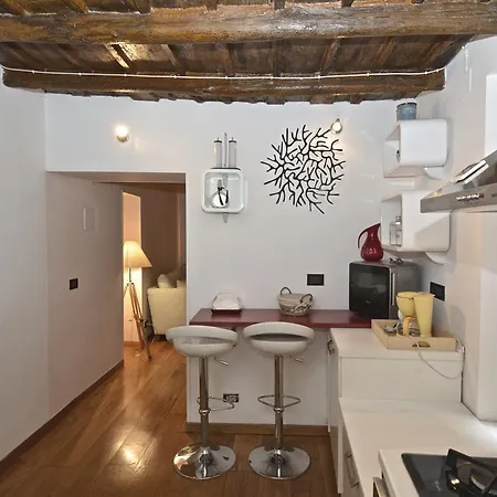H&c Piazza Navona Apartamento *